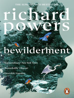 cover image of Bewilderment
